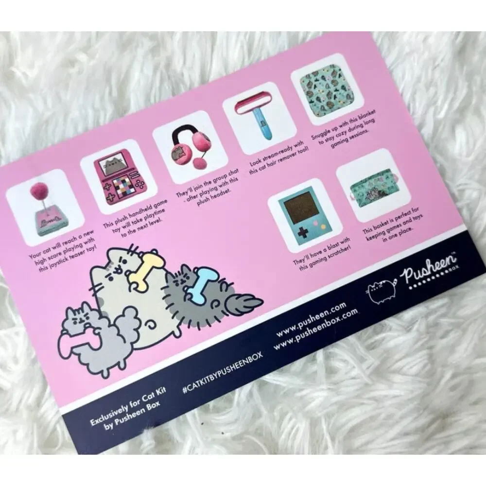 Winter 2022 Cat Kit Pusheen box GAMING
